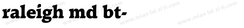 raleigh md bt字体转换